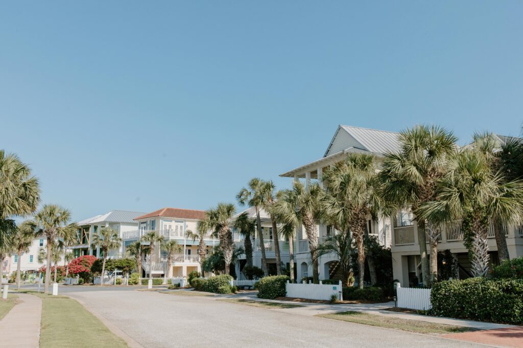 Scenic view of a suburban street lined with palm trees and modern houses.